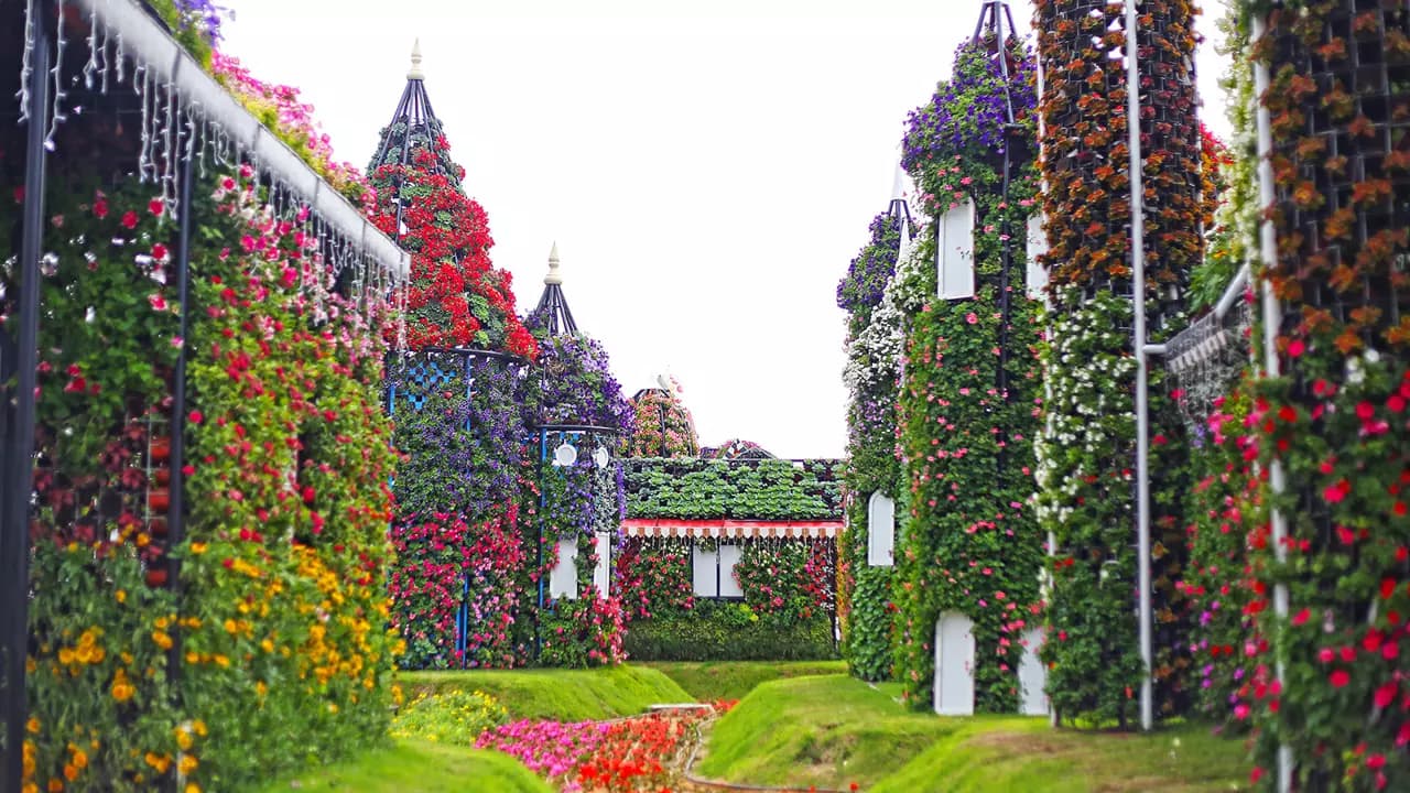 Dubai Miracle Garden - Photo 3