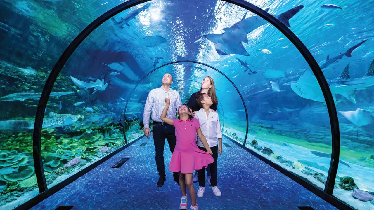 National Aquarium Abu Dhabi  - Photo 9