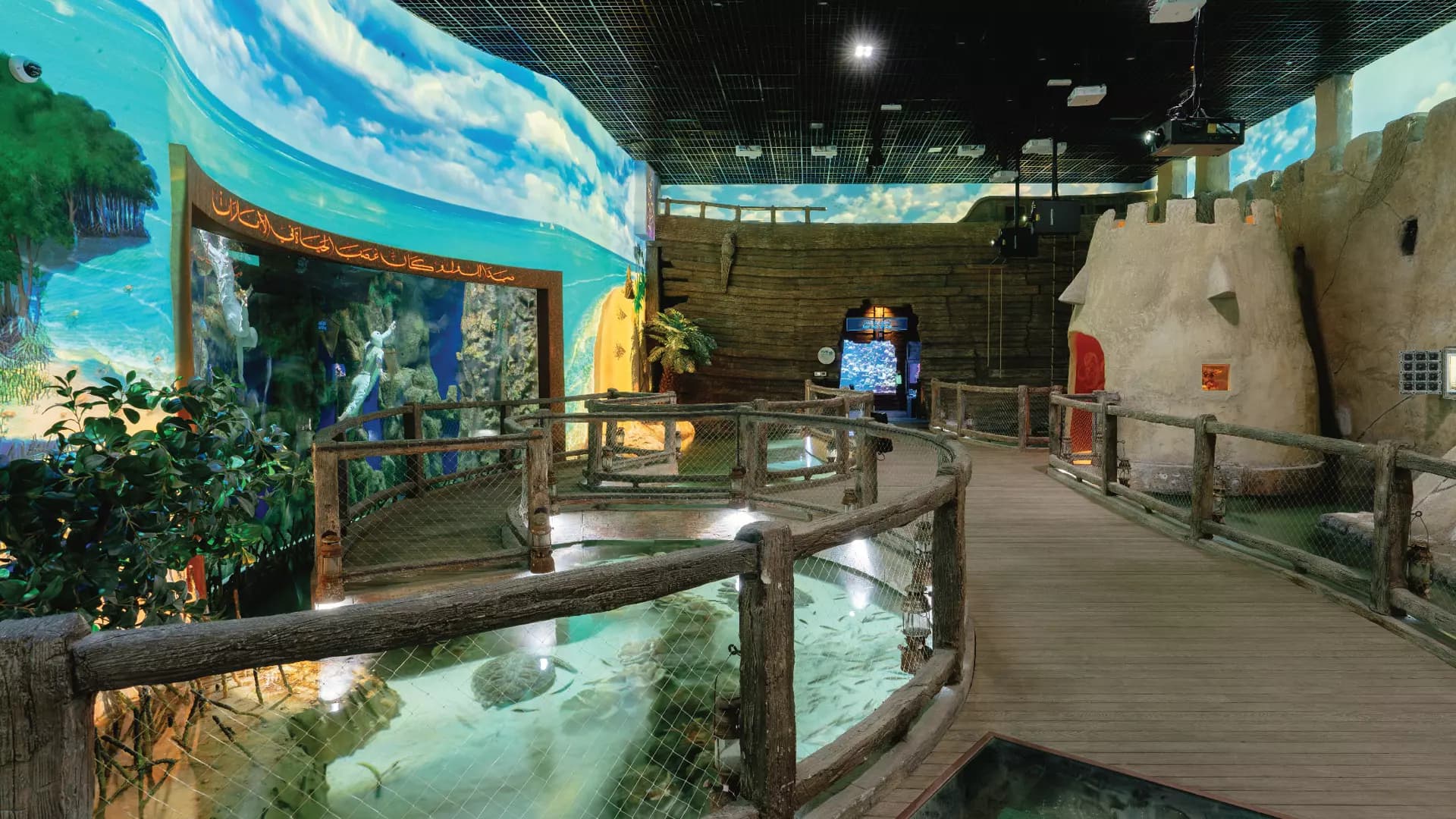 National Aquarium Abu Dhabi  - Photo 38