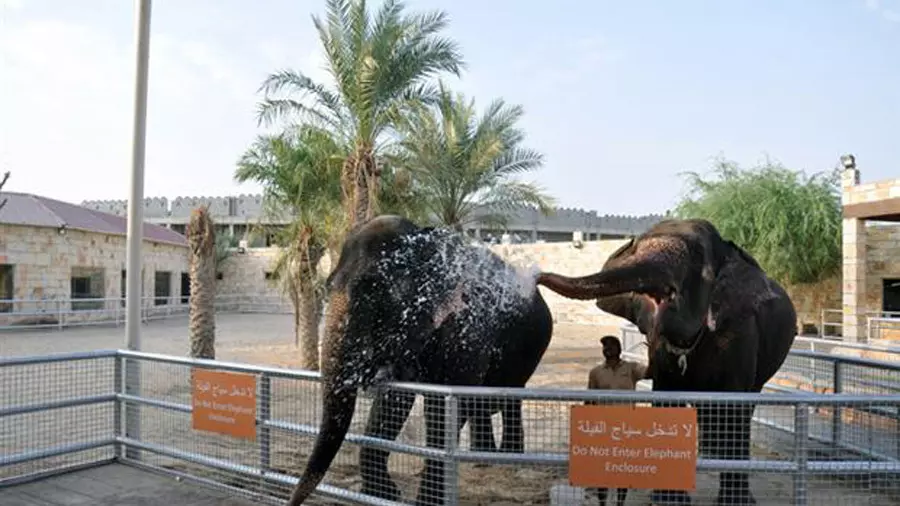 Abu Dhabi Emirates Park Zoo - Photo 13