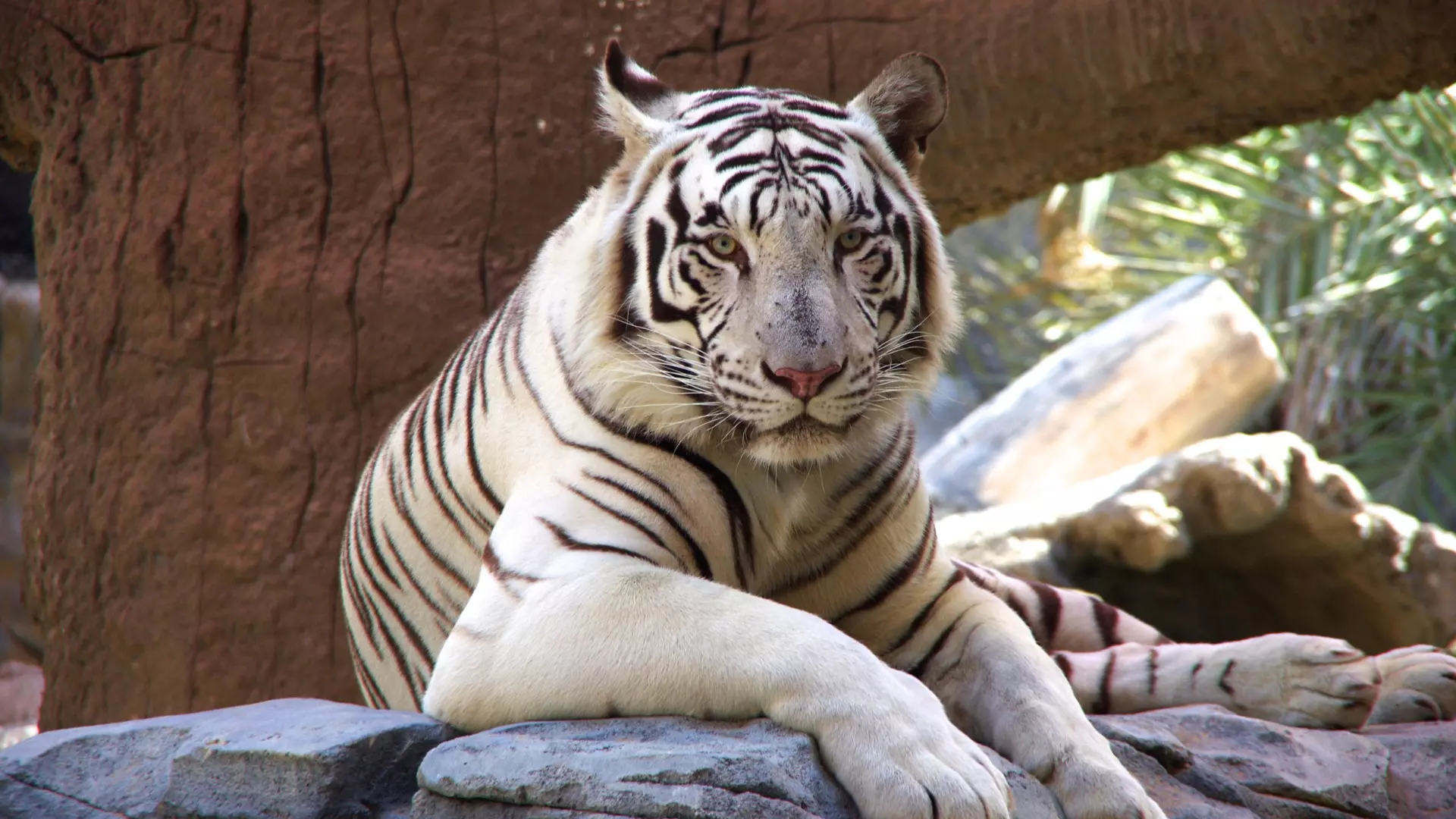 Abu Dhabi Emirates Park Zoo - Photo 22