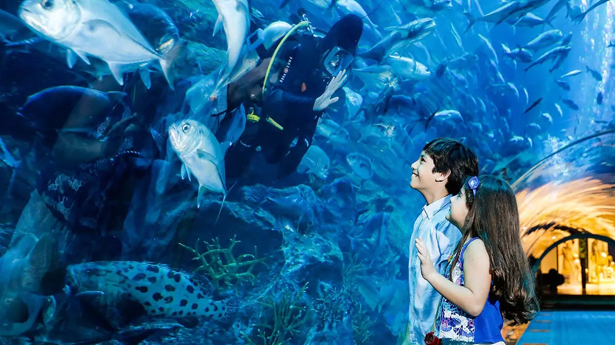 Aquarium and Underwater Zoo at the Dubai Mall - Photo 11