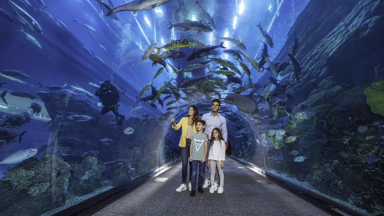 Aquarium and Underwater Zoo at the Dubai Mall - Photo 5