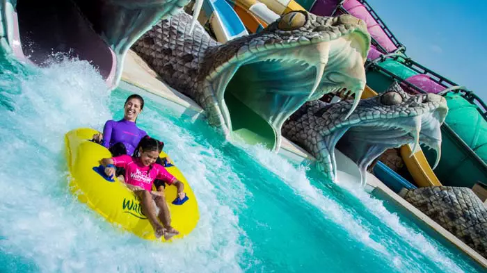 Yas Island Multi Day, Multi Park Ticket (Ferrari, Warner, Yas & Seaworld) - Photo 22