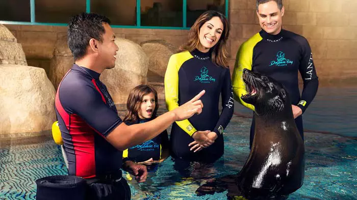 Dolphin Bay at Atlantis the Palm - Photo 16