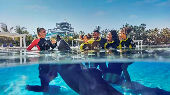 Dolphin Bay at Atlantis the Palm - Photo 4
