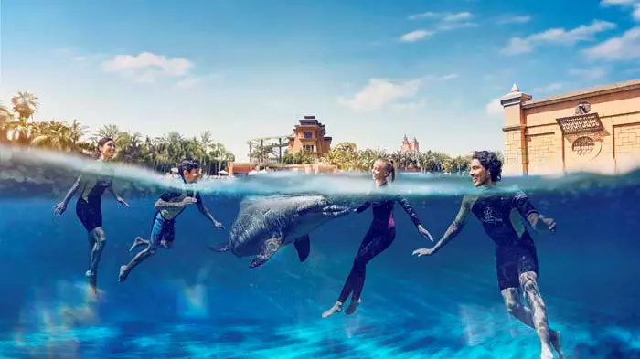 Dolphin Bay at Atlantis the Palm - Photo 21