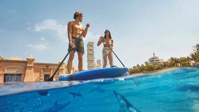 Dolphin Bay at Atlantis the Palm - Photo 8