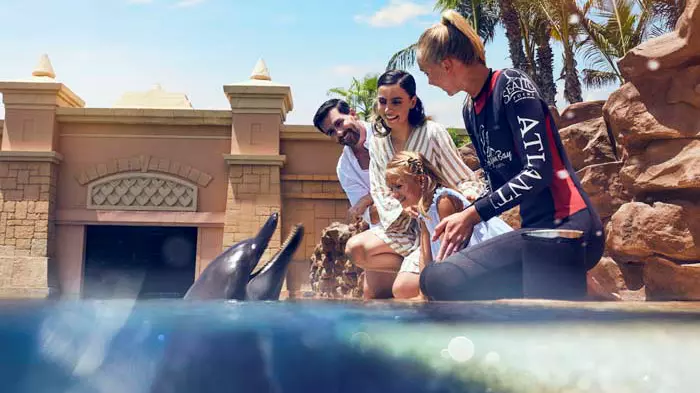 Dolphin Bay at Atlantis the Palm - Photo 10