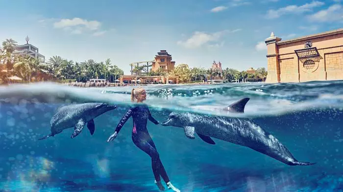 Dolphin Bay at Atlantis the Palm - Photo 26