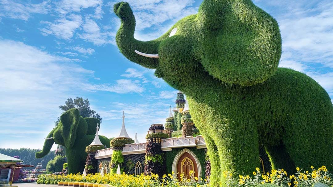 Dubai Miracle Garden - Photo 25