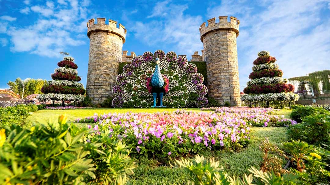 Dubai Miracle Garden - Photo 26