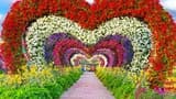 Dubai Miracle Garden - Photo 15