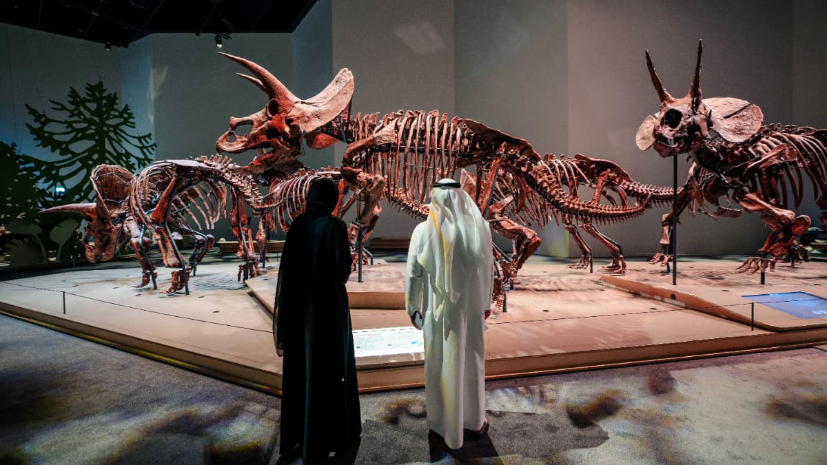 Natural History Museum, Abu-Dhabi - Photo 10