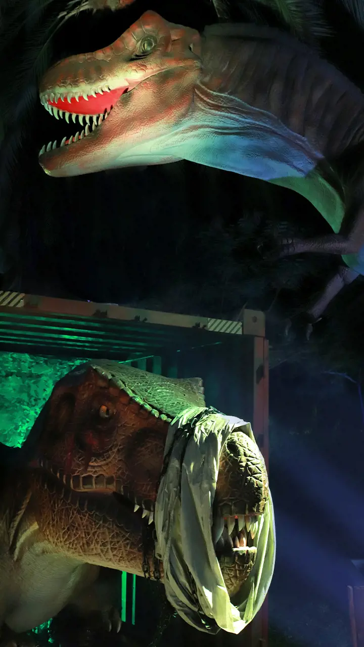 Dubai Garden Glow - Photo 10