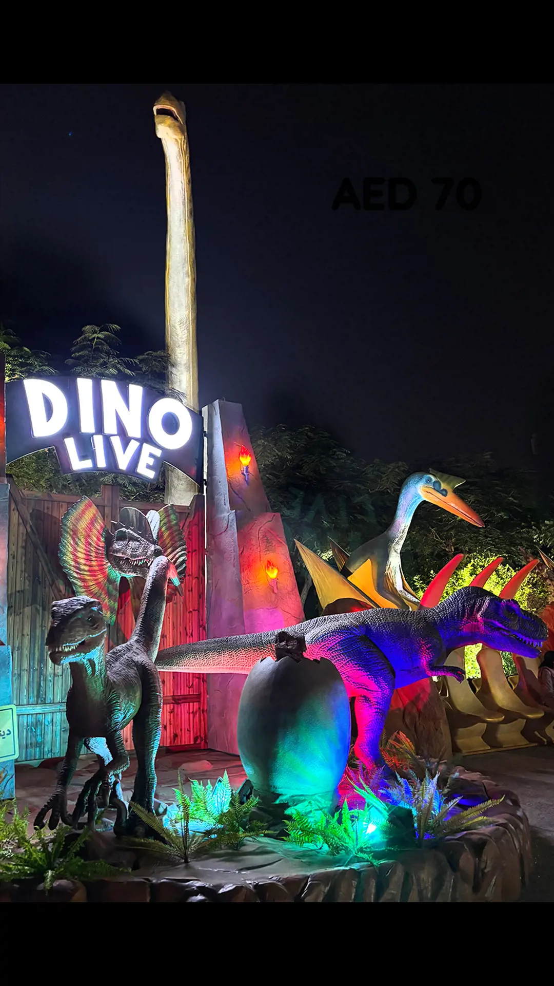 Dubai Garden Glow - Photo 52