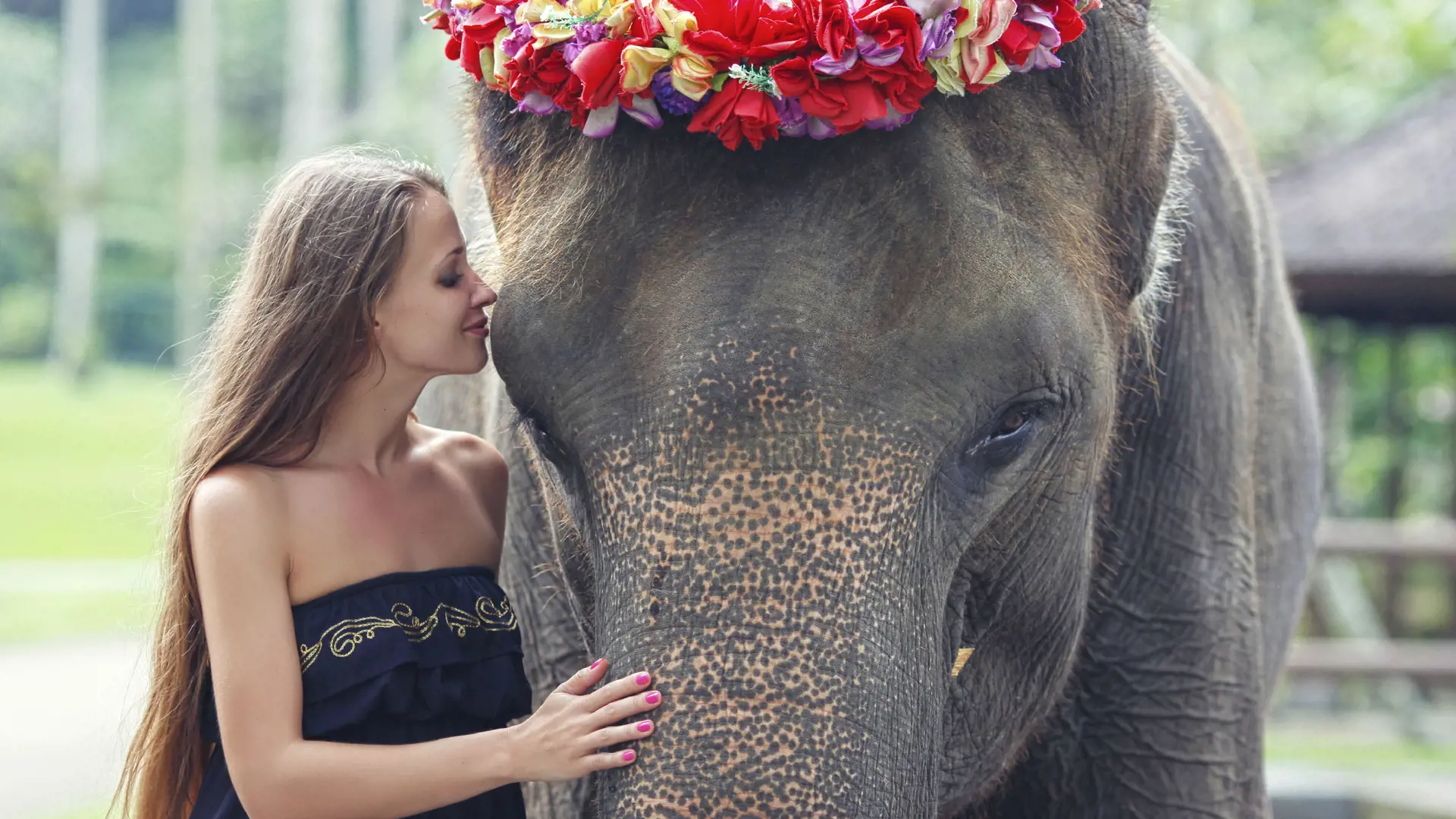 Mason Elephant Park Bali by Mason Adventures (Formerly known as Elephant Safari Park) - Photo 16