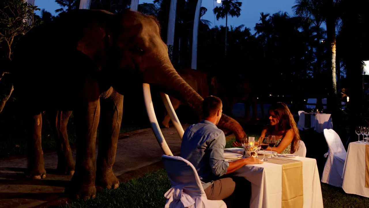 Mason Elephant Park Bali by Mason Adventures (Formerly known as Elephant Safari Park) - Photo 26