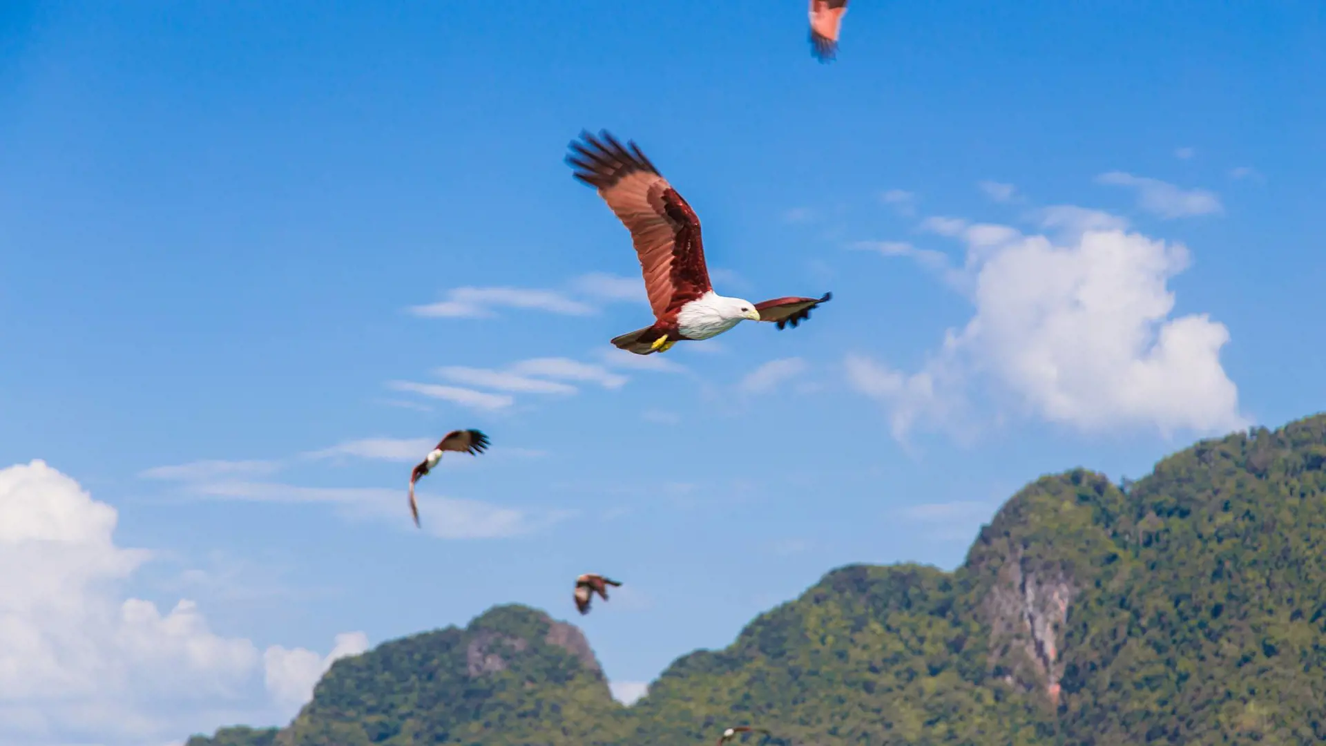 James Bond Island, Phang-Nga Bay, Hong Island, and Khai Island Tour from Phuket - Photo 32