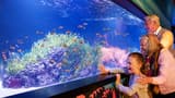 SEA LIFE London Aquarium Ticket - Photo 20
