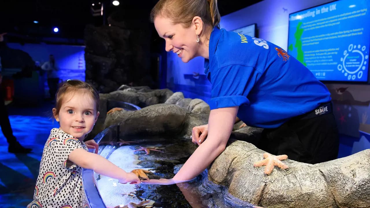 SEA LIFE London Aquarium Ticket - Photo 9