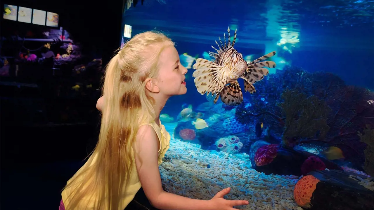 SEA LIFE London Aquarium Ticket - Photo 15