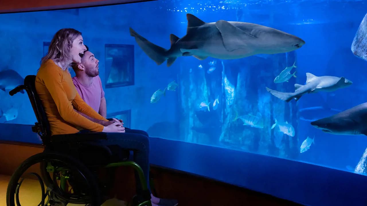 SEA LIFE London Aquarium Ticket - Photo 18