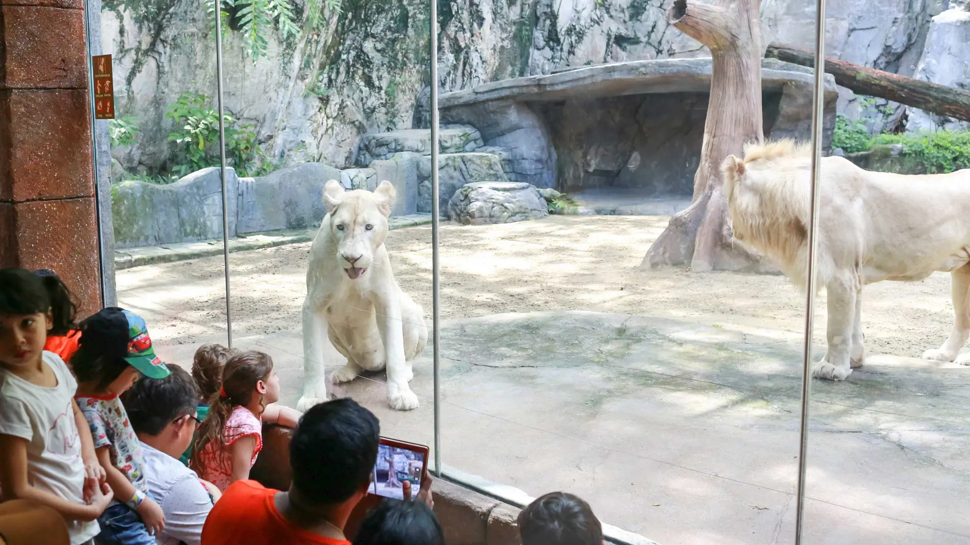 Sunway Lagoon Theme Park Ticket - Photo 73