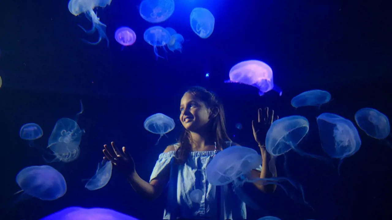 Palma Aquarium: Skip The Line Ticket + Optional 3D Cinema Aquadome - Photo 2
