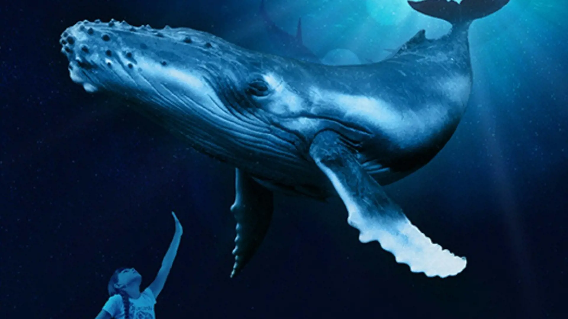 Palma Aquarium: Skip The Line Ticket + Optional 3D Cinema Aquadome - Photo 22