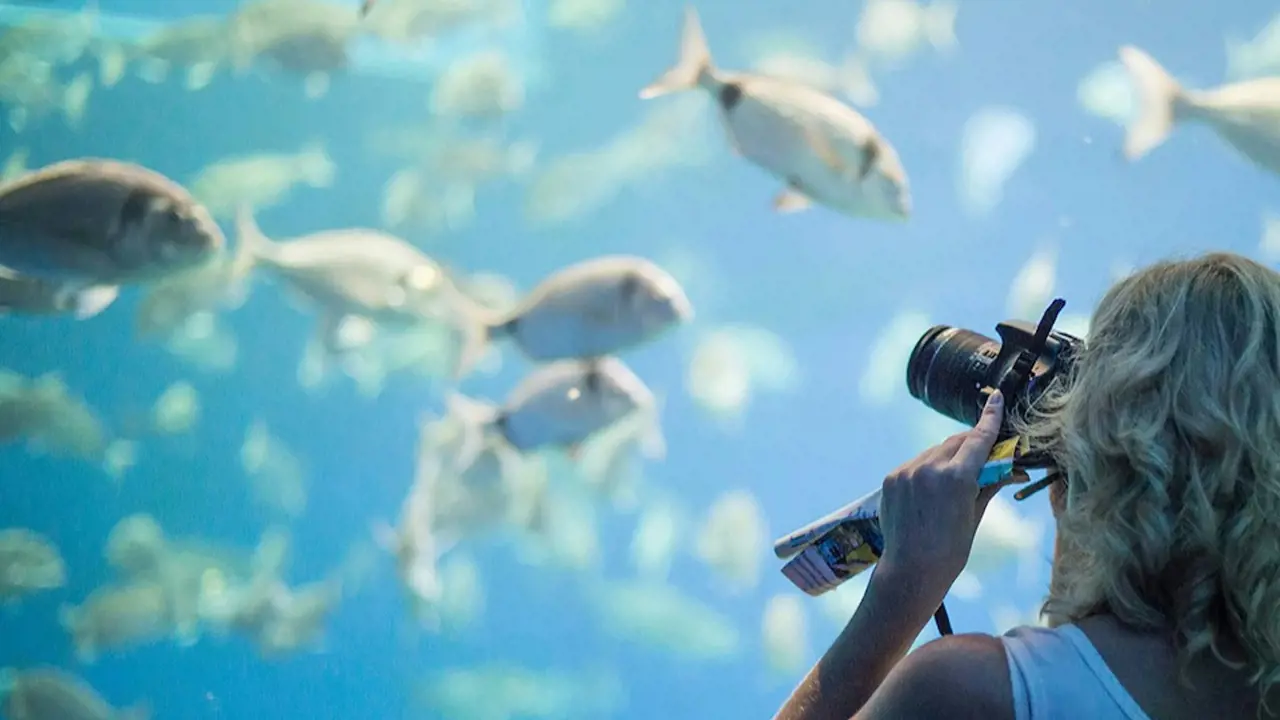 Palma Aquarium: Skip The Line Ticket + Optional 3D Cinema Aquadome - Photo 8