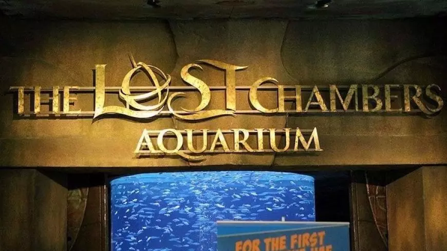 Lost World Aquarium - Photo 8