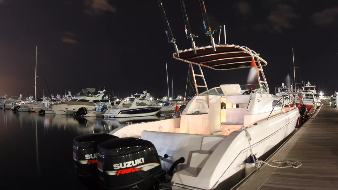 Deep Sea Fishing in Dubai - Photo 6