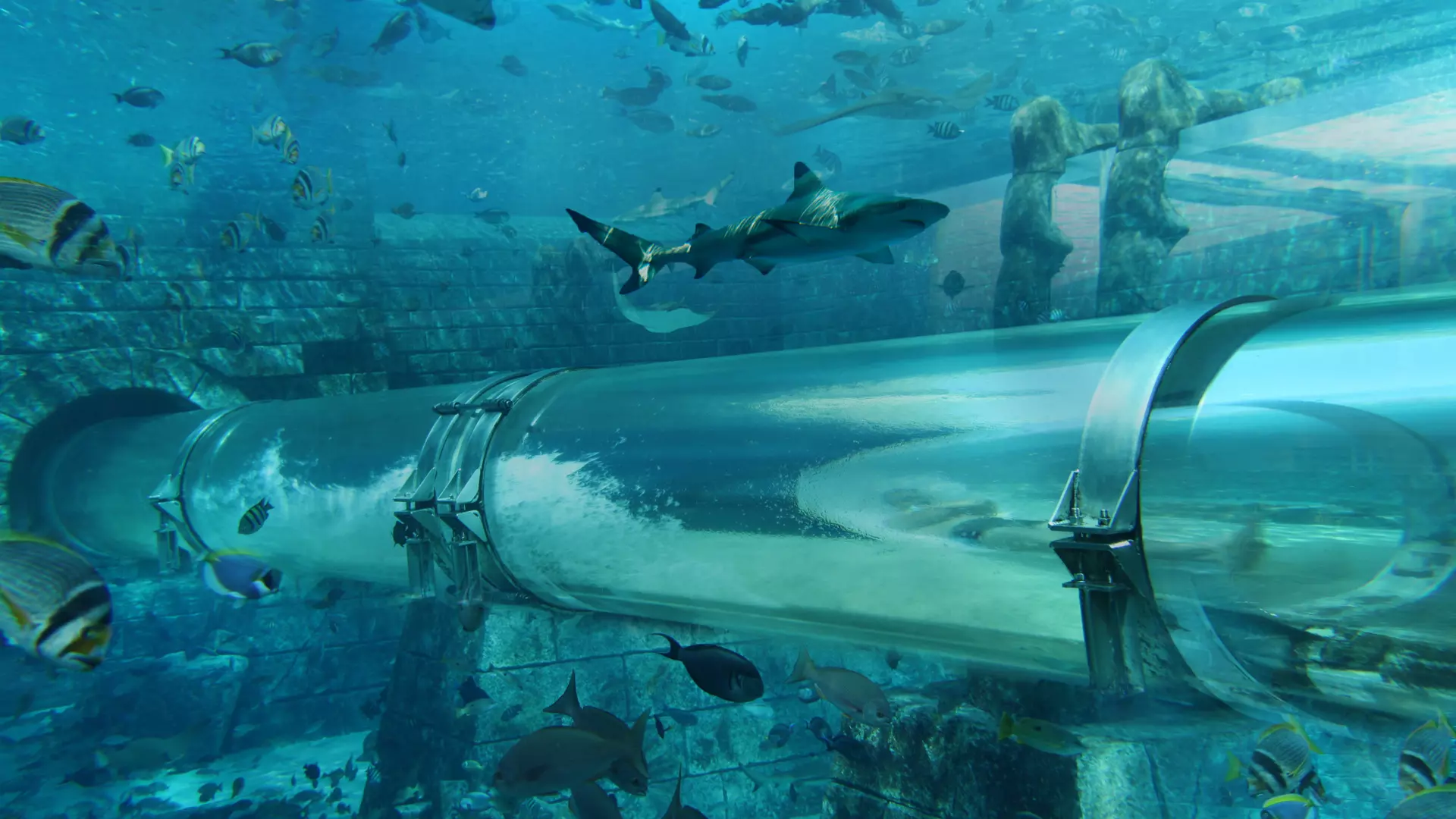 Aquaventure Waterpark - Photo 25
