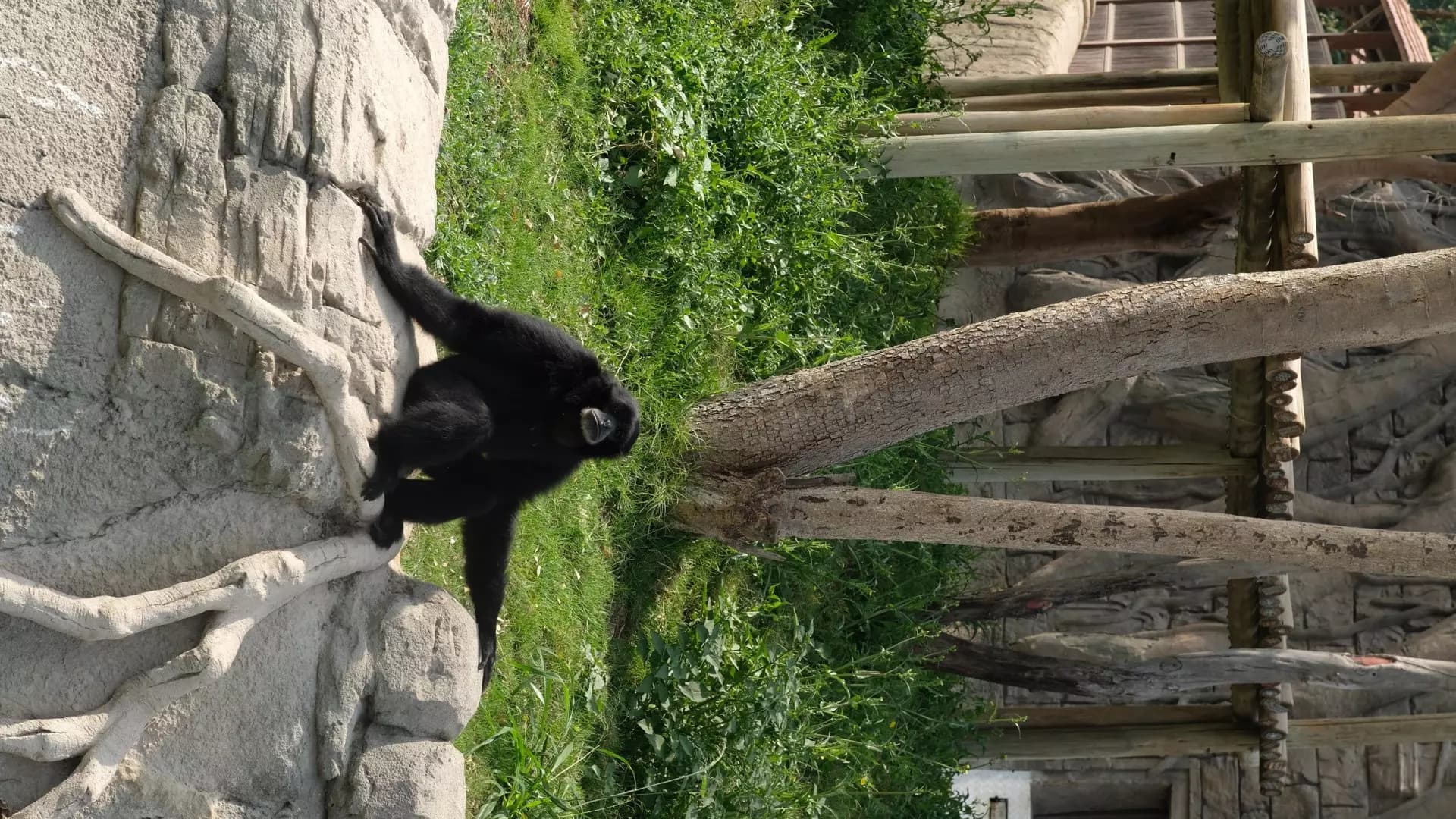 Dubai Safari Park - Photo 29