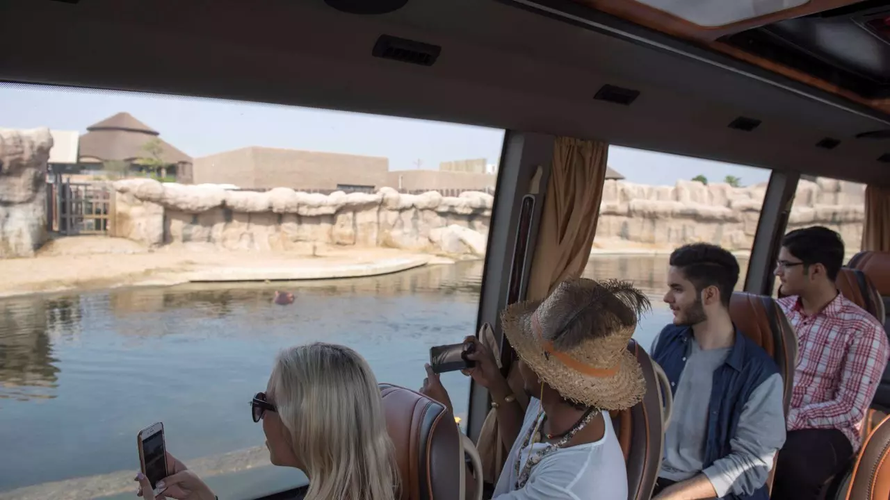 Dubai Safari Park - Photo 17