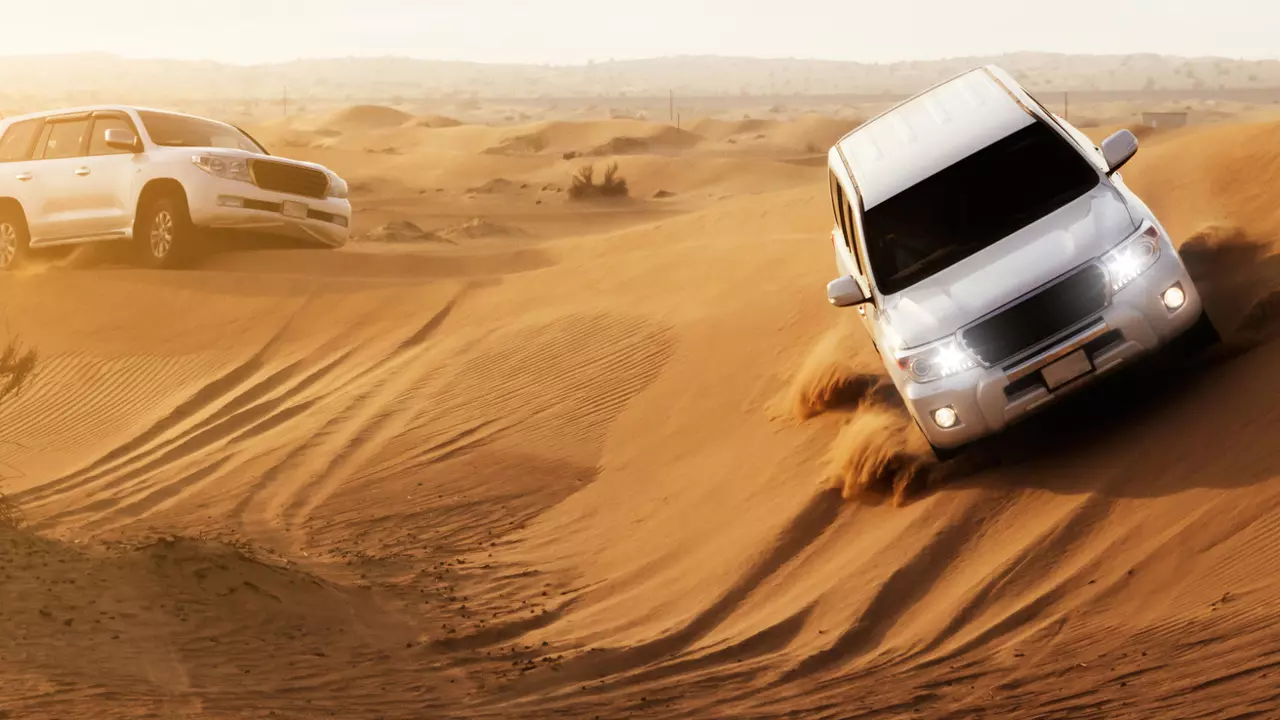 Desert Safari in Dubai + Red Sands Camp - Photo 7