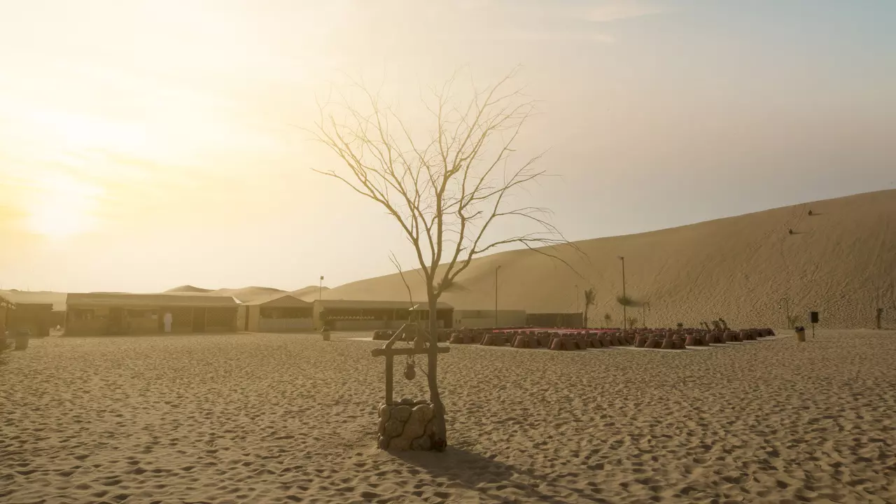 Desert Safari in Abu Dhabi - Photo 2