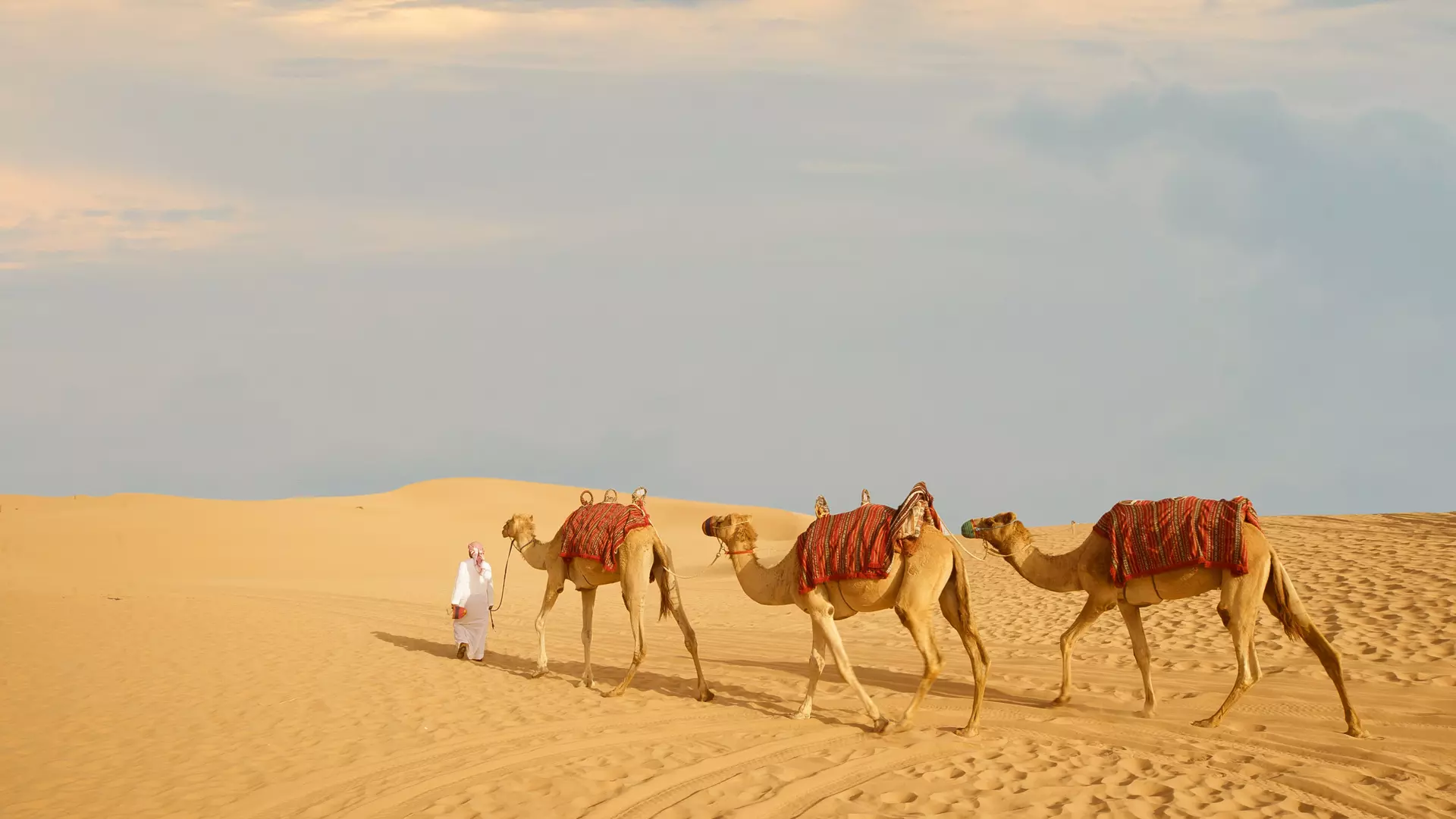 Desert Safari in Abu Dhabi - Photo 43