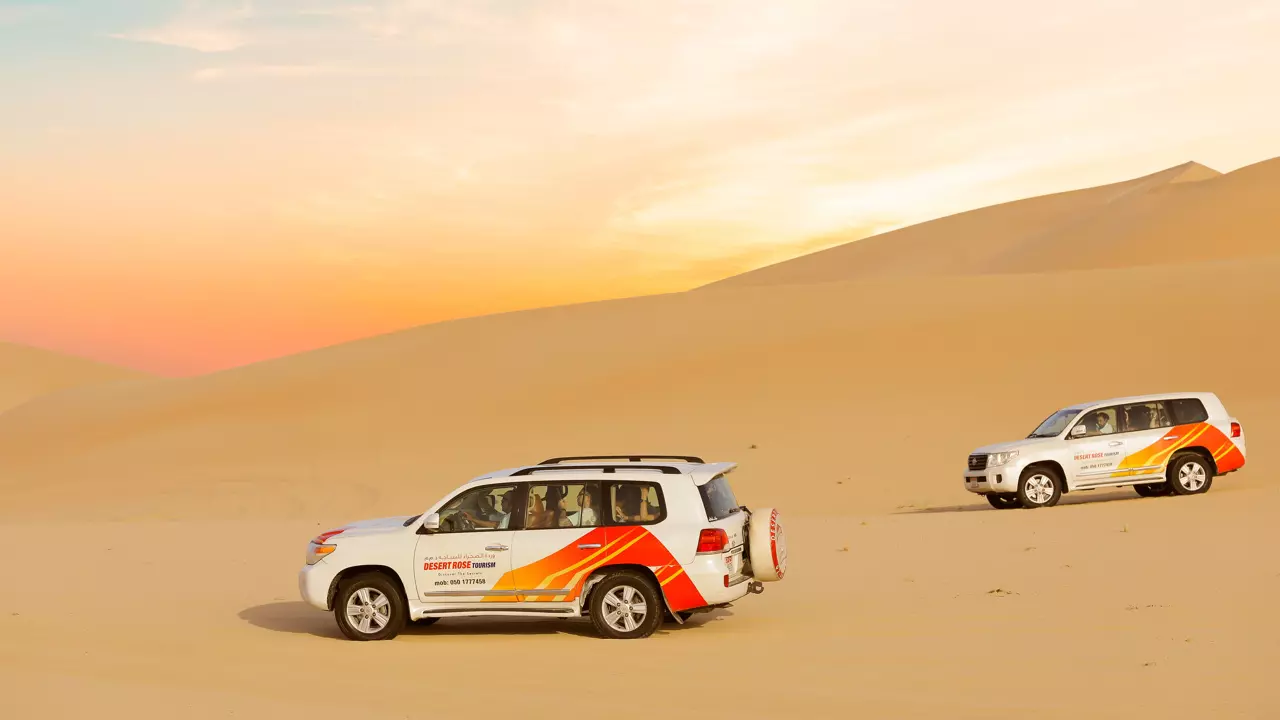 Desert Safari in Abu Dhabi - Photo 21