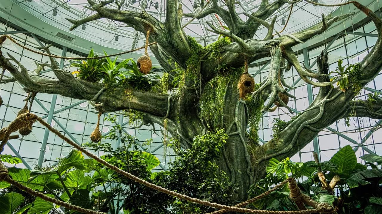 The Green Planet - Photo 13