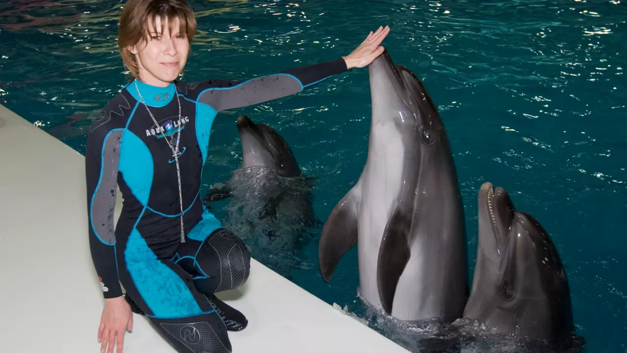 Dubai Dolphinarium - Photo 1