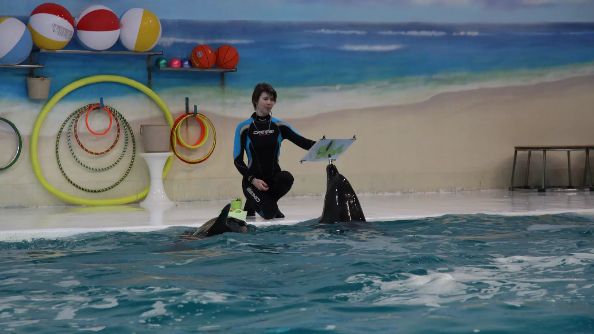 Dubai Dolphinarium - Photo 18