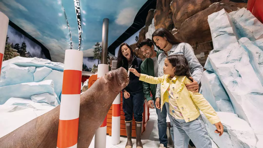 Sea World Abu Dhabi - Photo 16