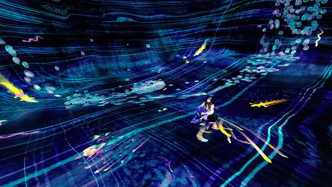 TeamLab Phenomena - Photo 8
