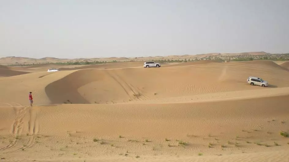 Morning Desert Safari Dubai - Photo 3