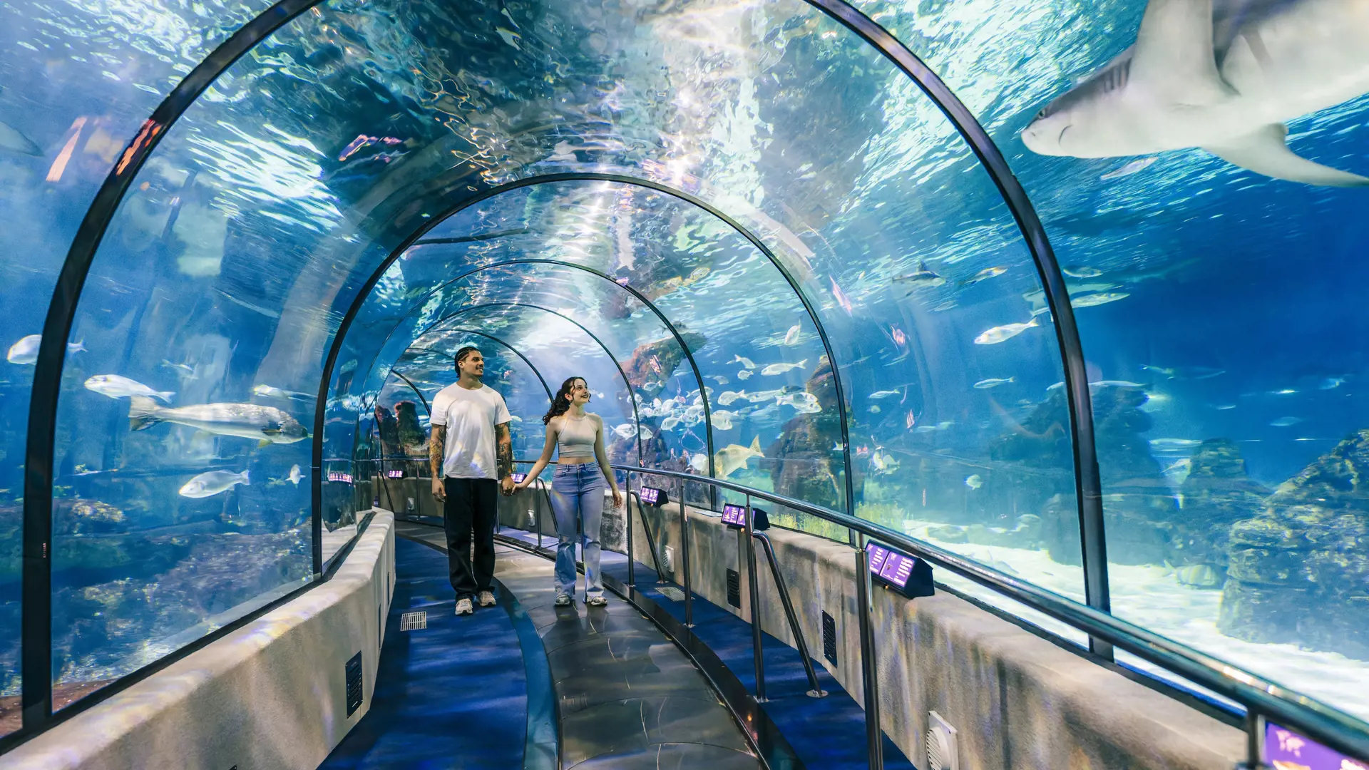 Barcelona Aquarium Ticket - Photo 16