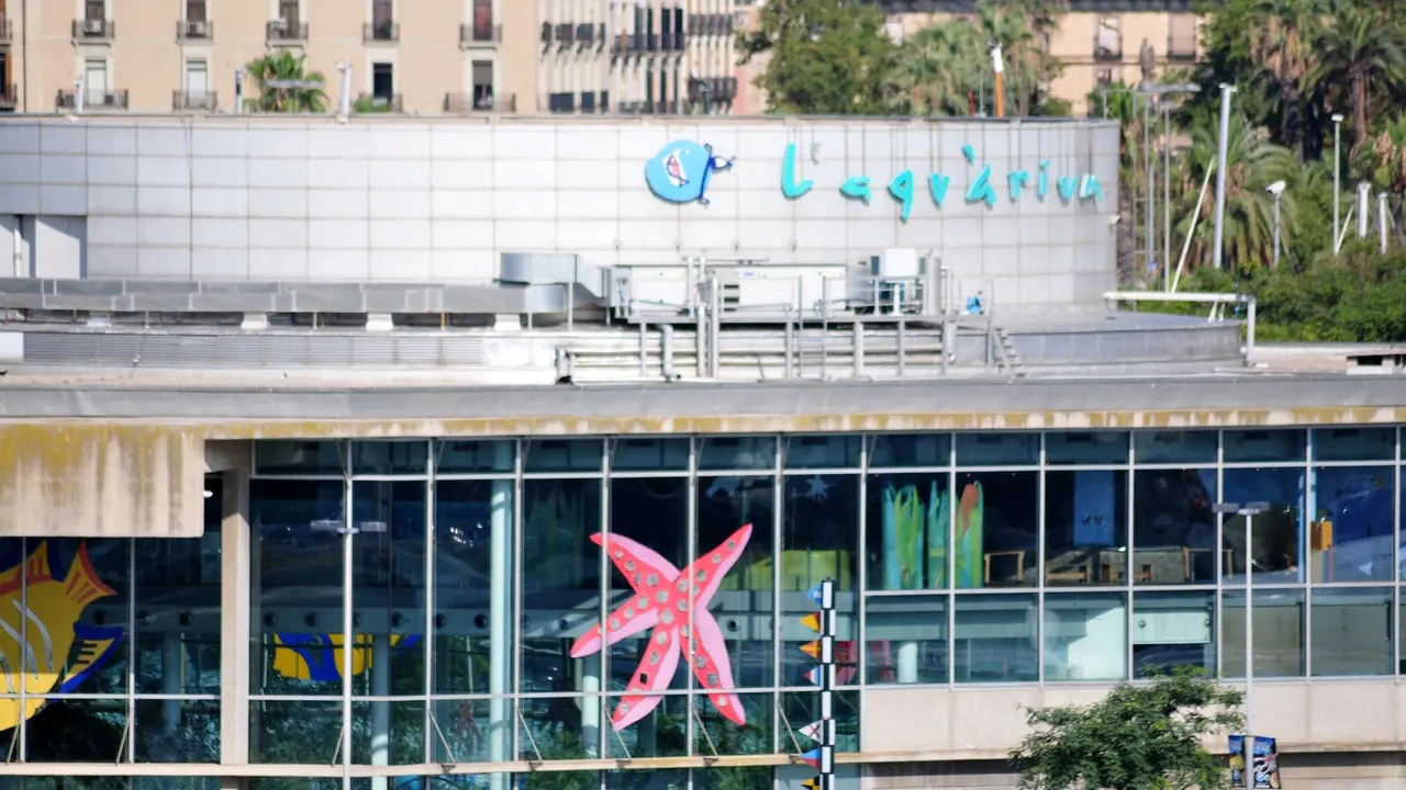 Barcelona Aquarium Ticket - Photo 19