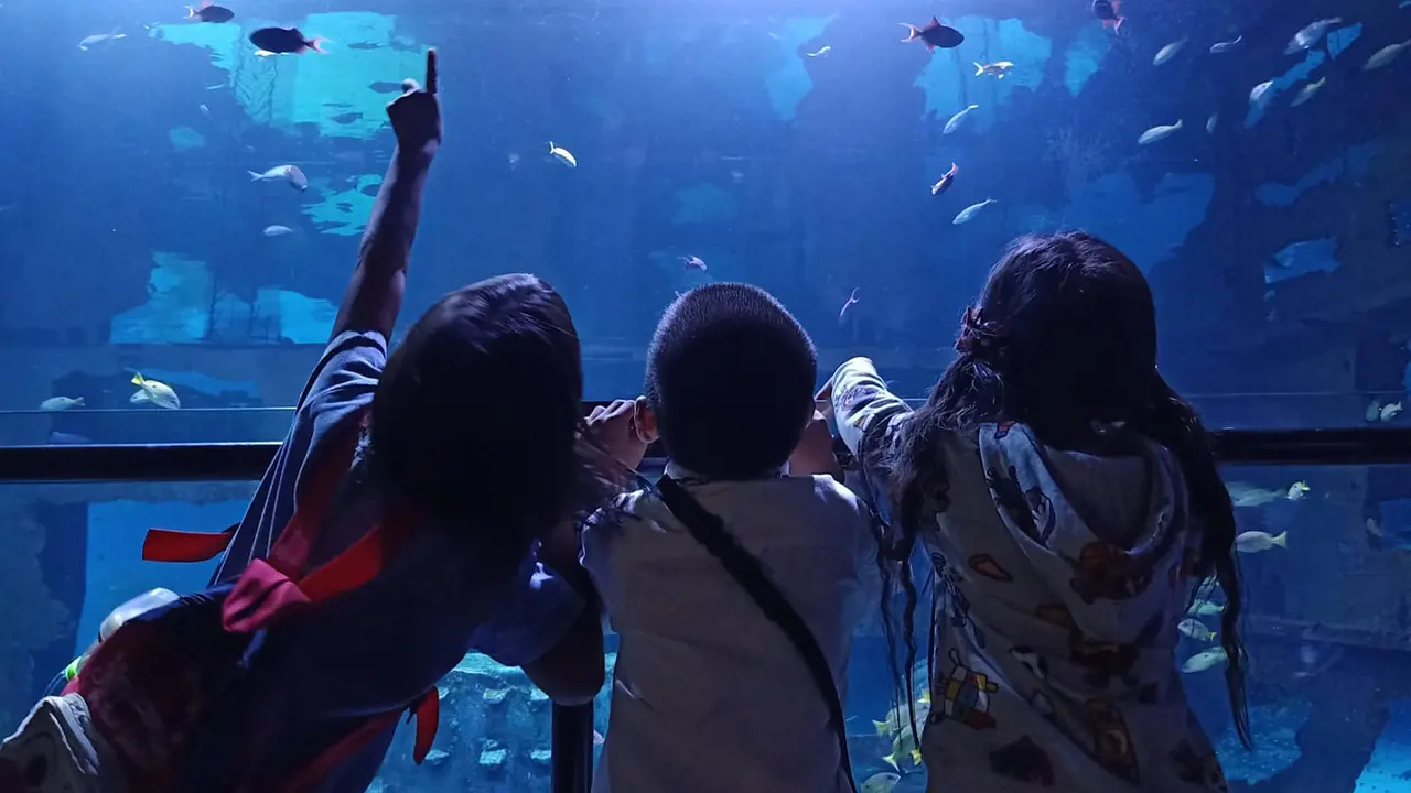 Aquaria Phuket