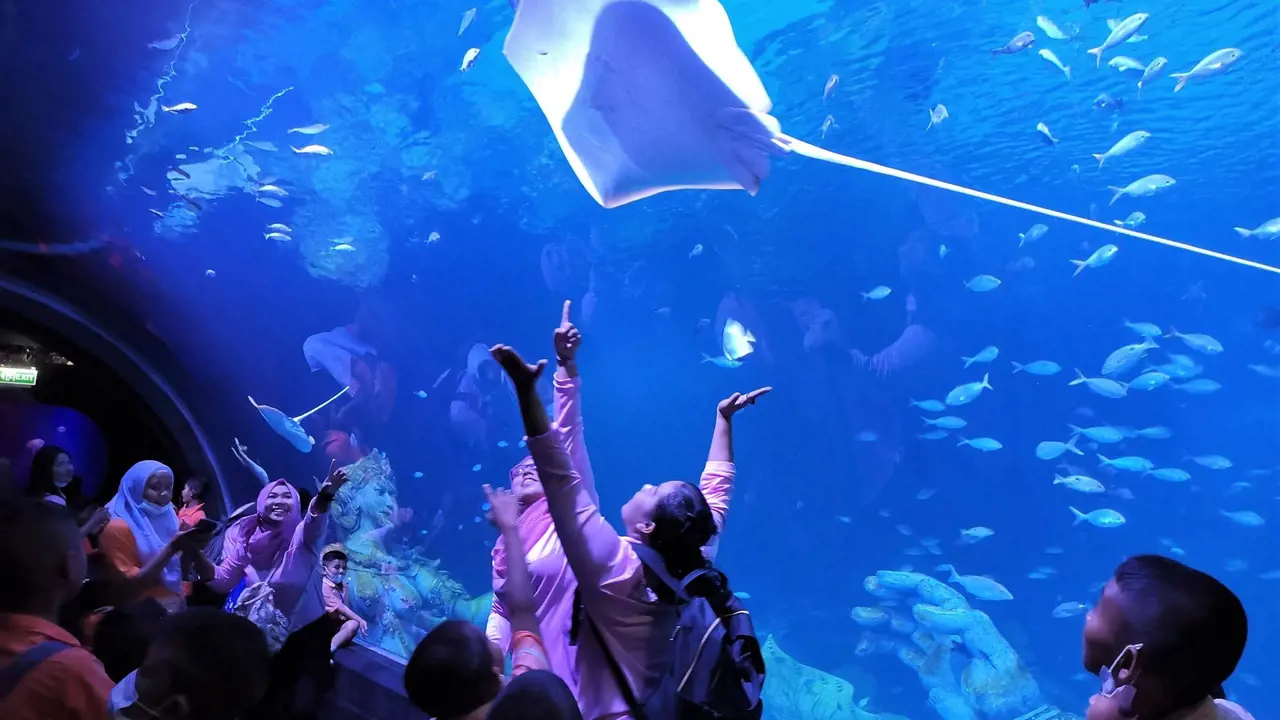 Aquaria Phuket - Photo 5